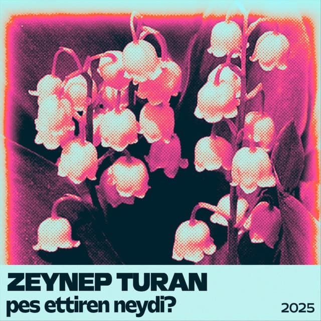 Pes Ettiren Neydi